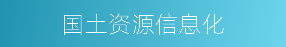 国土资源信息化的同义词