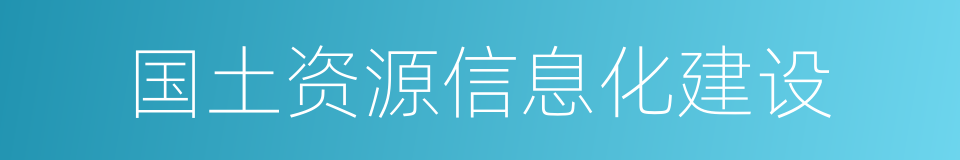 国土资源信息化建设的同义词