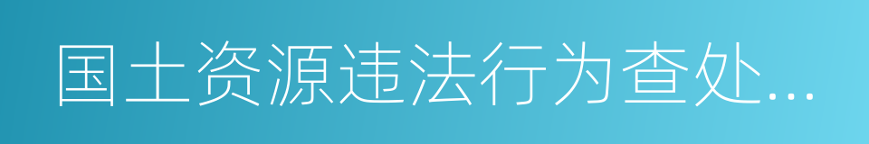 国土资源违法行为查处工作规程的同义词