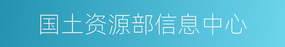 国土资源部信息中心的同义词