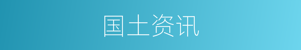 国土资讯的同义词