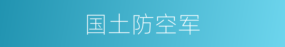 国土防空军的同义词