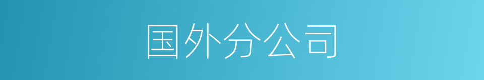 国外分公司的意思