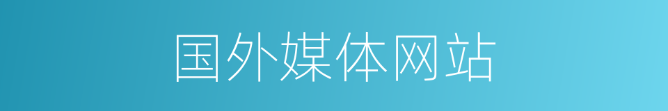 国外媒体网站的同义词