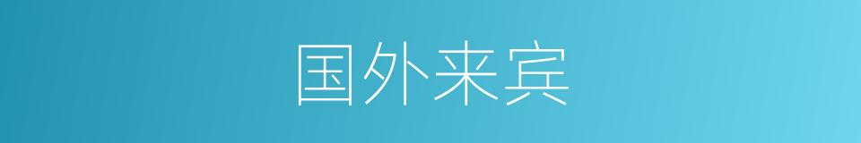 国外来宾的同义词