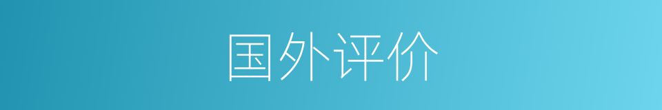 国外评价的同义词