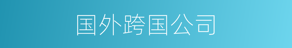 国外跨国公司的同义词