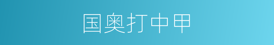 国奥打中甲的同义词
