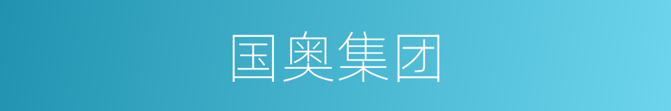 国奥集团的同义词