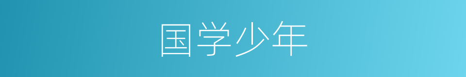国学少年的同义词