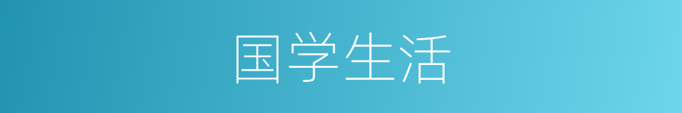 国学生活的同义词