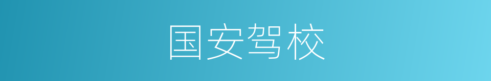 国安驾校的同义词