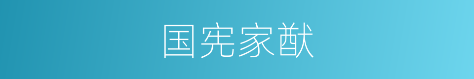 国宪家猷的同义词