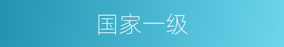 国家一级的同义词