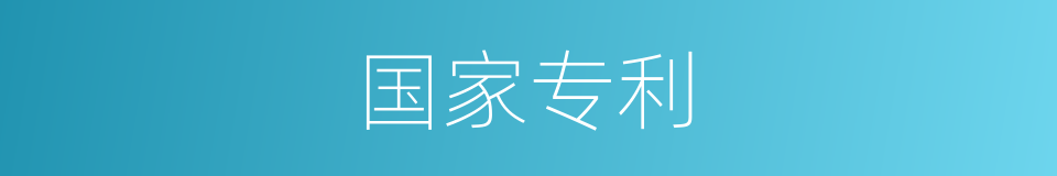 国家专利的同义词