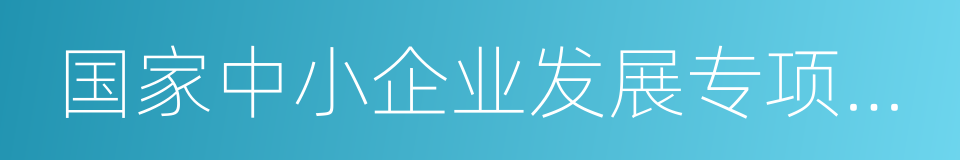 国家中小企业发展专项资金项目的同义词
