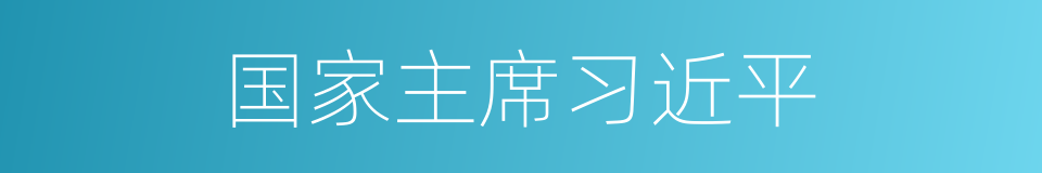 国家主席习近平的同义词