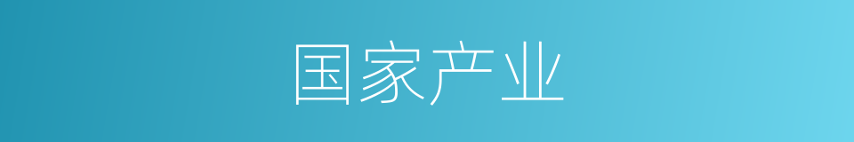 国家产业的同义词