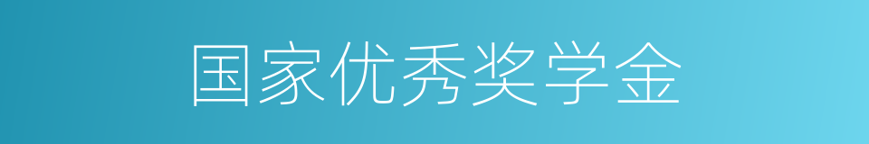 国家优秀奖学金的同义词