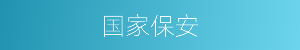 国家保安的同义词