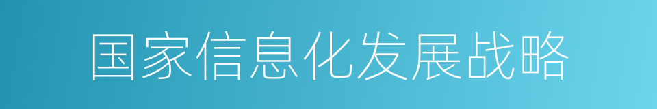 国家信息化发展战略的同义词