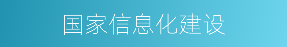 国家信息化建设的同义词