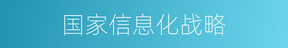 国家信息化战略的同义词