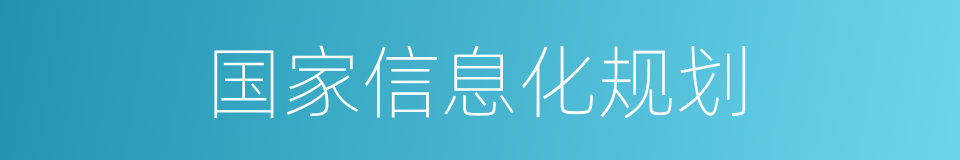 国家信息化规划的同义词