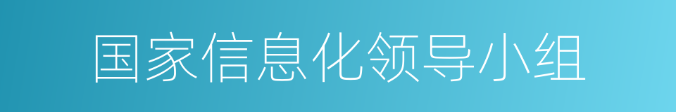 国家信息化领导小组的同义词