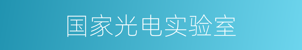 国家光电实验室的同义词