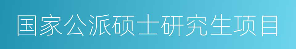 国家公派硕士研究生项目的同义词