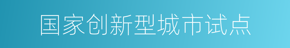 国家创新型城市试点的同义词