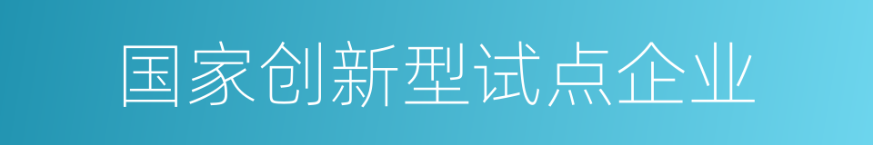 国家创新型试点企业的同义词