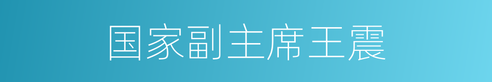 国家副主席王震的同义词