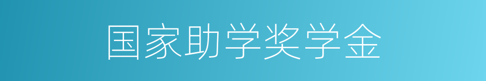 国家助学奖学金的同义词