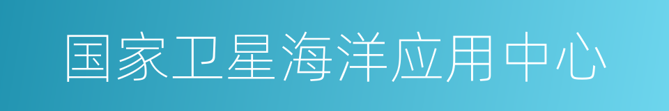 国家卫星海洋应用中心的同义词