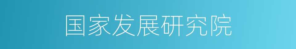 国家发展研究院的同义词