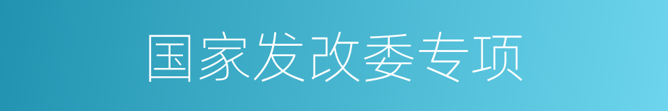 国家发改委专项的同义词