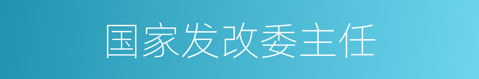 国家发改委主任的同义词