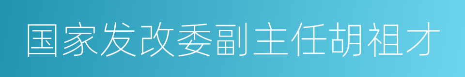 国家发改委副主任胡祖才的同义词