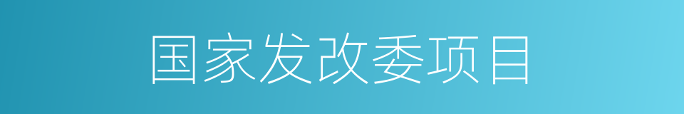 国家发改委项目的同义词