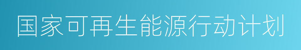 国家可再生能源行动计划的同义词