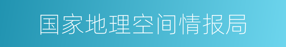 国家地理空间情报局的同义词