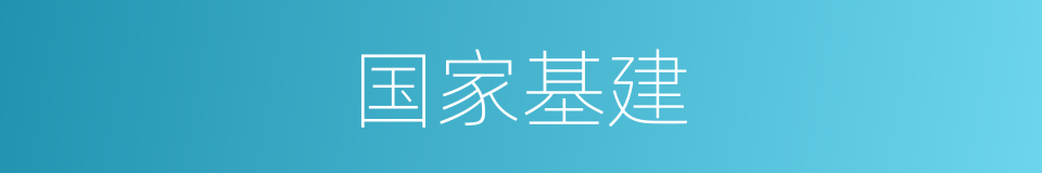 国家基建的同义词