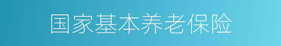 国家基本养老保险的同义词
