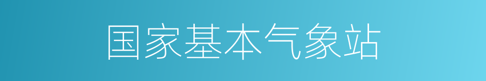 国家基本气象站的同义词