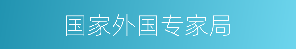 国家外国专家局的同义词