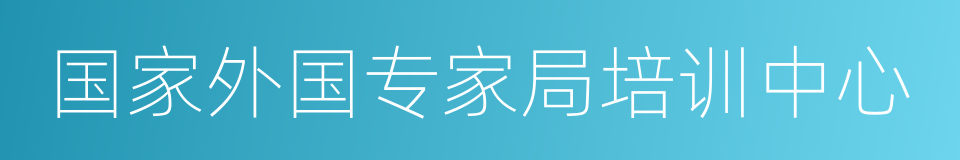 国家外国专家局培训中心的同义词