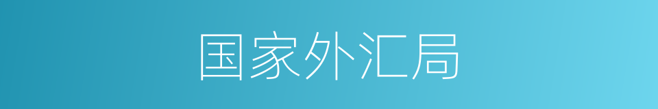 国家外汇局的同义词