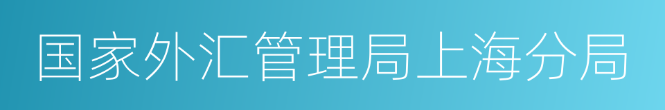 国家外汇管理局上海分局的同义词